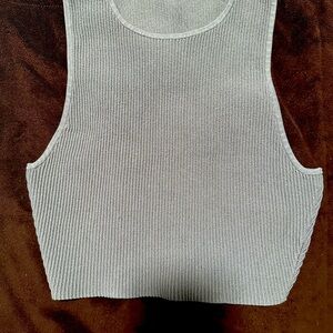 Aritzia Babaton Tank Top